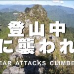【動画】日本人登山者さん、『熊の奇襲に神パリィを決め』撃退ｗｗｗｗｗｗｗｗ
