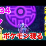 扉の向こうには準伝説のポケモンがいるらしい！#34【ポケモンスカーレット】