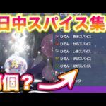 【検証】1日中スイッチ2台で秘伝スパイスを集めたらカンストできんじゃね？【ポケモンSV/スカバイ】