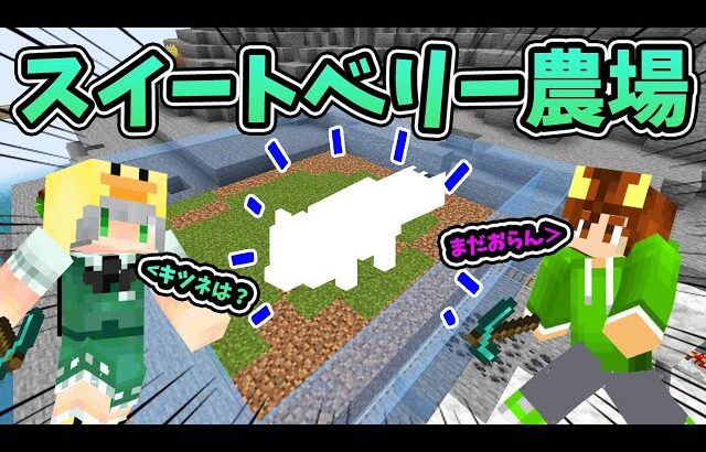 【ぽこくらシーズン 3】全自動！超効率的なスイートベリー農場の作り方 前編 【マインクラフト】マイクラ建築 ゆっくり実況プレイ