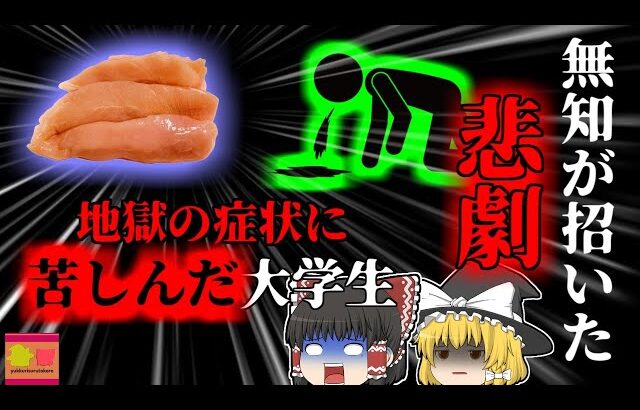 【2008年】宅呑みをしていた大学生たち 数日後の地獄の苦しみを味わう…原因は主催者が提供していた郷土料理？ 家庭で作るにはリスクの高い”ある食品”「カンピロバクター食中毒」【ゆっくり解説】