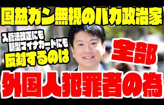 【ゆっくり解説】在日外国人の犯罪対策、入管法改正に新型マイナンバーなどに反対するしょーもない国会議員たち