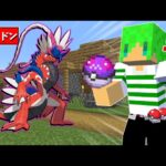 【マインクラフト】新しく追加された『パラドックスポケモン』がゲットできる世界でサバイバルしたらとんでもなかった…！？