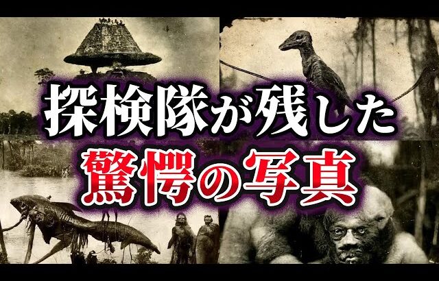 【ゆっくり解説】実在した異世界⁉忽然と消えたイギリスの探検家が残した驚愕の写真